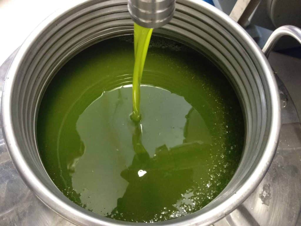 l'olio extravergine di oliva